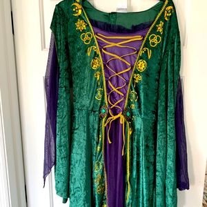 Winifred Sanderson Sister Hocus Pocus costume XL